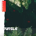 cover: Lenny - Jungle