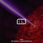 cover: Casj - 500 Gamma//Reinstating Rytm