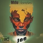 cover: Mdu Homeboi - Joe