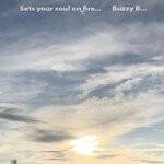 cover: Buzzy B - Sets Your Soul On Fire...