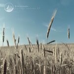 cover: Grainscapes - Particle Journey