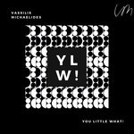 cover: Vassilis Michaelides - You Little What!