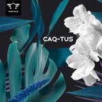 cover: Caq-Tus - Dance Me