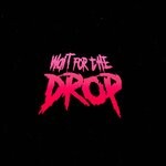 cover: 0to8 - Wait For The Drop