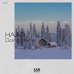 cover: HAAB - Going Home (Original Mix)