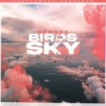 cover: NewEra - Birds In The Sky