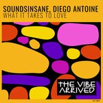 cover: Diego Antoine|Soundsinsane - What It Takes To Love