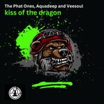 cover: The Phat Ones|Veesoul|Aquadeep - Kiss Of The Dragon