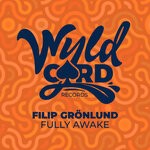 cover: Filip Gronlund - Fully Awake