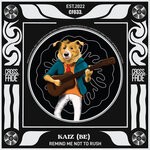 cover: Kaiz (BE) - Remind Me Not To Rush