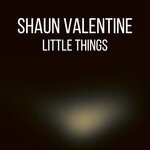 cover: Shaun Valentine - Little Things