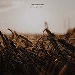 cover: Lucidara - Elevation Echo