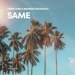 cover: Brandon Dhludhlu|Pierre Dube - Same