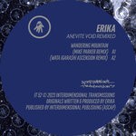 cover: Erika - Anevite Void (Remixed)