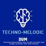 cover: Various - TECHNO MELODIC