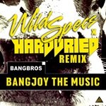 cover: Bangbros - Bangjoy The Music (Wild Specs X Harddried Remix)