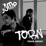 cover: Frank Amodo - Torn