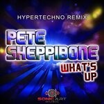 cover: Pete Sheppibone - What's Up