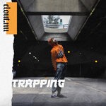 cover: NOIXES - Trapping