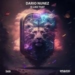 cover: Dario Nunez - Is Like That