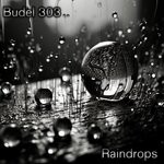 cover: Budel 303 - Raindrops