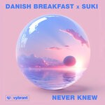 cover: Danish Breakfast|SUKI - Never Knew