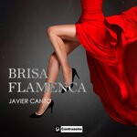 cover: Javier Canto - Brisa Flamenca