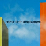 cover: Zamir Raf - Institutions