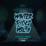 cover: Various - Winter Picks Vol II