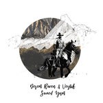 cover: Desert Raven|Veytik - Sacred Yurt