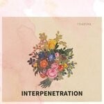 cover: Toadsha - Interpenetration