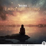 cover: Dulehec - I Miss That Feeling