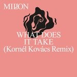 cover: Miljon - What Does It Take (Kornel Kovacs Remix)