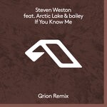 cover: Arctic Lake|bailey|Steven Weston - If You Know Me (Qrion Remix)