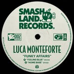 cover: Luca Monteforte - Funky Affairs