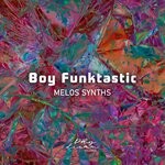 cover: Boy Funktastic - Melos Synths