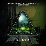 cover: Castor & Pollux|Mesa & Boss - Consistent