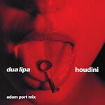 cover: Dua Lipa - Houdini (Adam Port Mix)