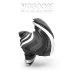 cover: Biggoose - Drink, Sex, Rave, Repeat