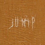 cover: Junip - Walking Lightly EP