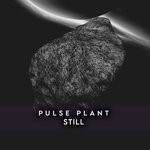 cover: Pulse Plant - Still