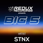 cover: STNX - Redux Big 5 Of STNX