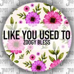 cover: Zoogy Bless - Like You Used To