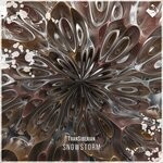 cover: TranSiberian - Fractal