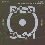 cover: SKYNT - Deep (SHWAN Vs Jocky Remix)