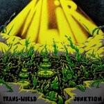 cover: MLiR - Trans-World Junktion