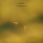 cover: Liponava - Mosquito