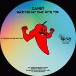 cover: Canet - Wasting My Time With You