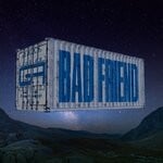 cover: Gruff Rhys - Bad Friend