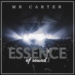 cover: Mr Carter - Essence Of Sound